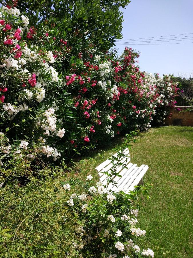 トラビーア Giardino San Nicolaヴィラ エクステリア 写真